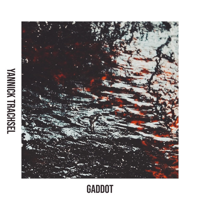 Gaddot cover