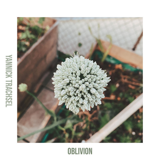 Oblivion cover