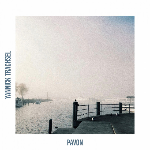 Pavon cover