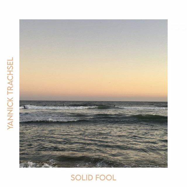 Solid Fool cover